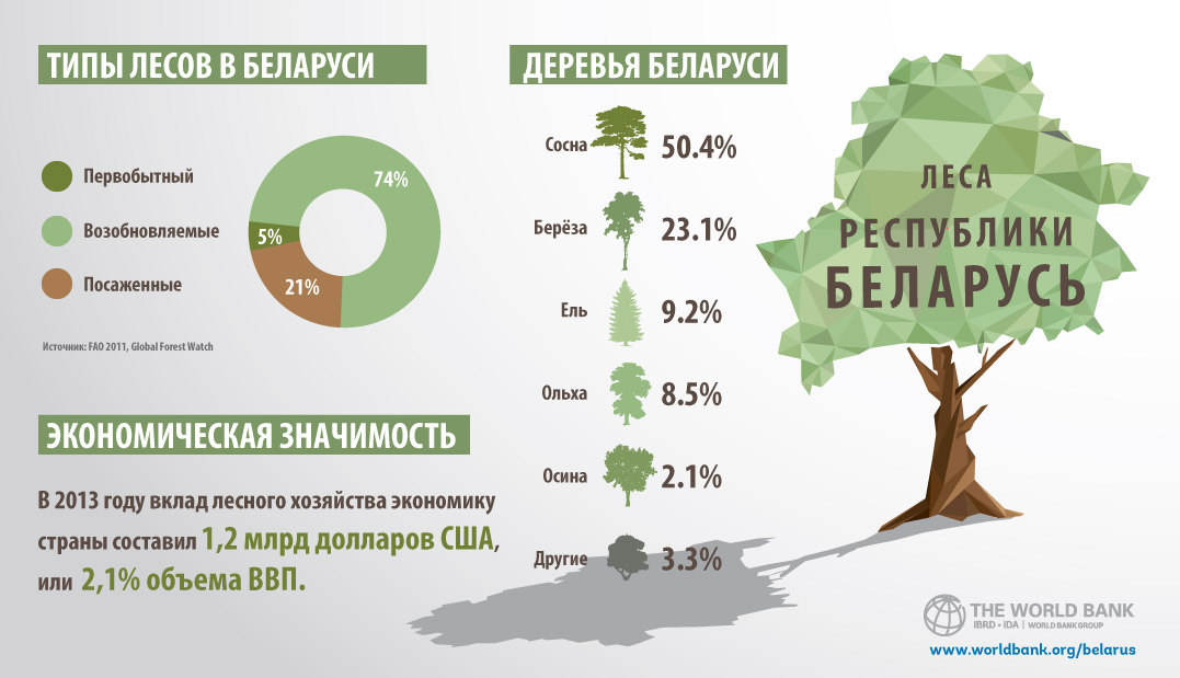 Количество деревьев в мире
