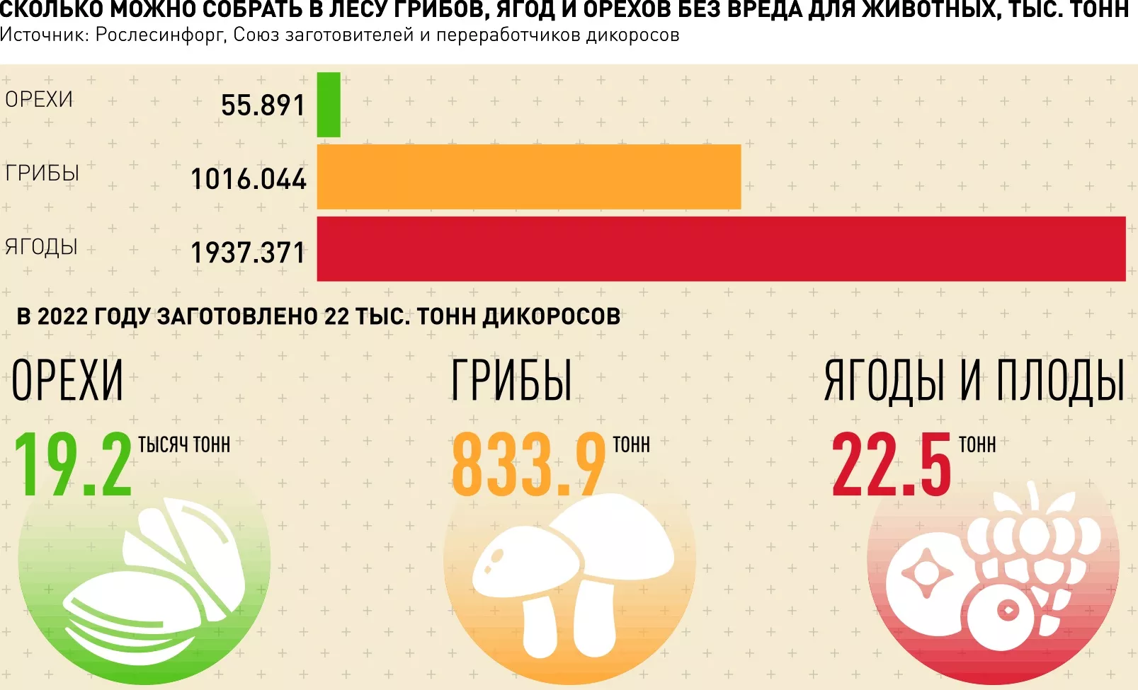 Кобринец Николай Сергеевич: биография, достижения, интересные факты