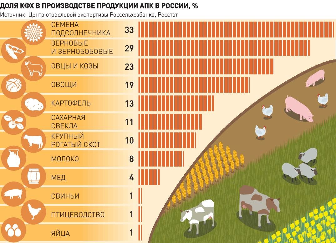 Доклад: Гофер, Андреас