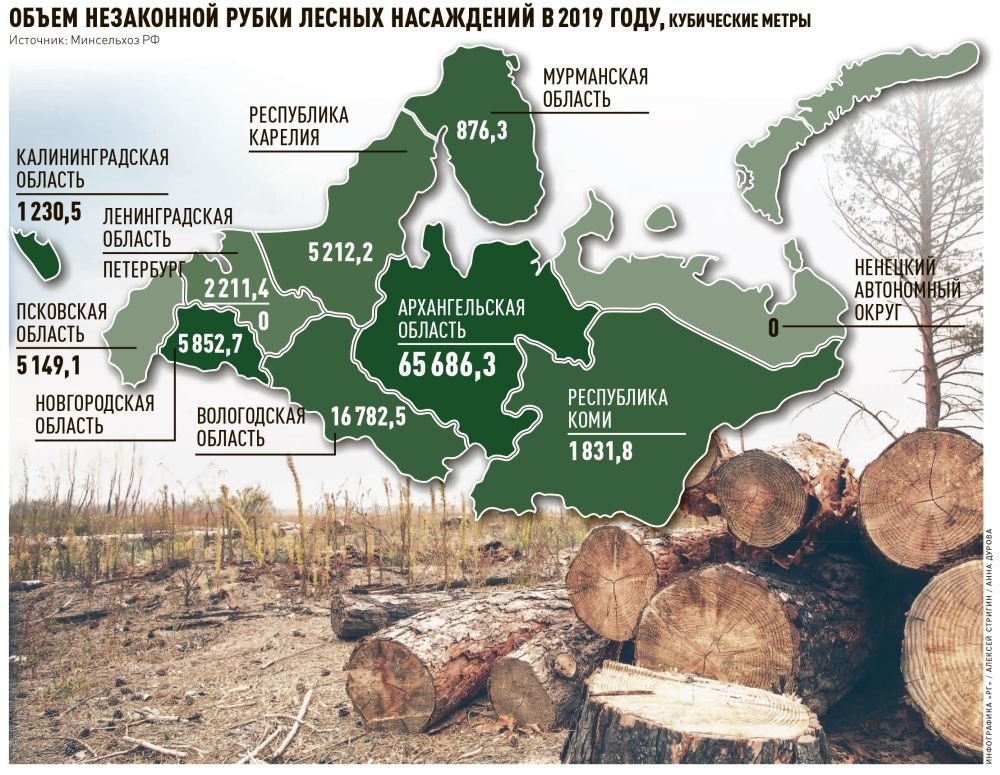В каких странах есть леса
